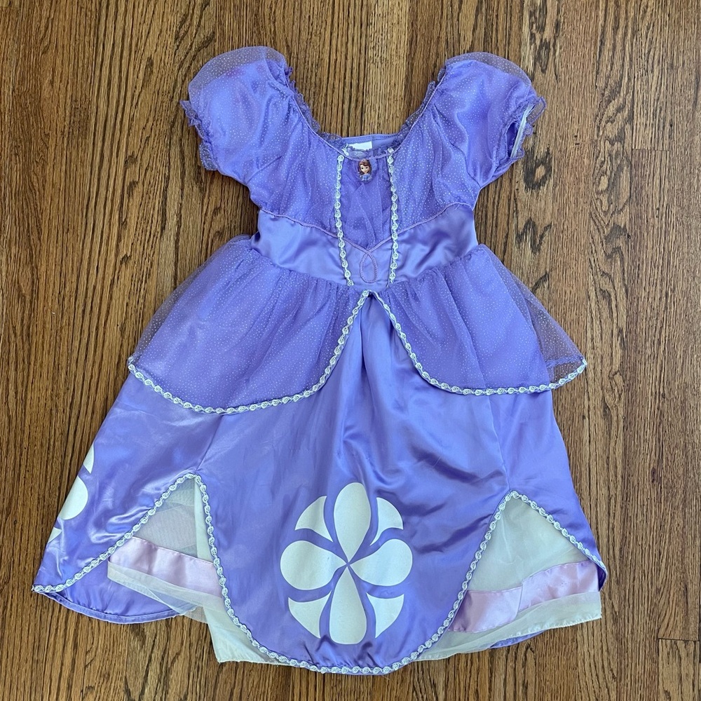 Disney Princess Sophia the First Dress for Kids